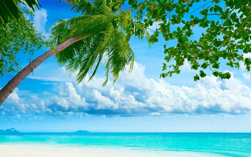 Tropical beach resorts-Summer Scenery, HD wallpaper