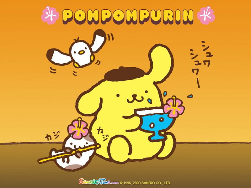 Pom Pom Purin, Cute, Pom Pom, Dog, Purin, Puppy, Eating, Kawaii, Food, HD wallpaper