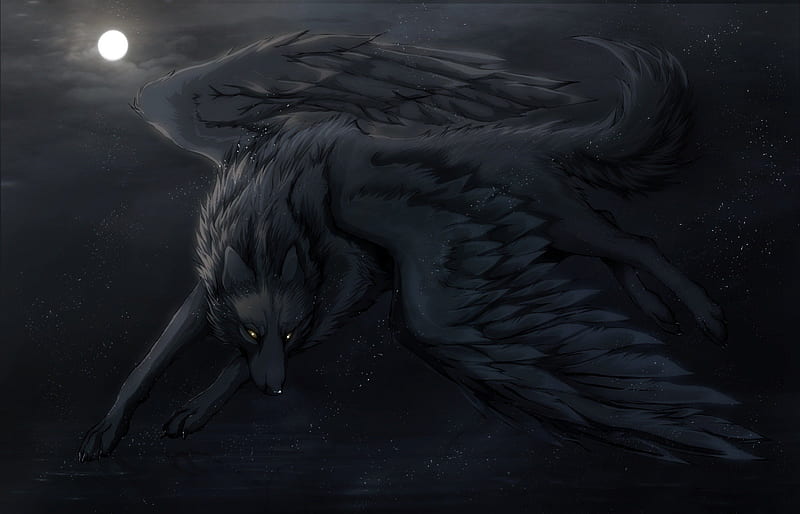 Black wolf by Whiluna on deviantART  Wolf with blue eyes Fantasy wolf Black  wolf