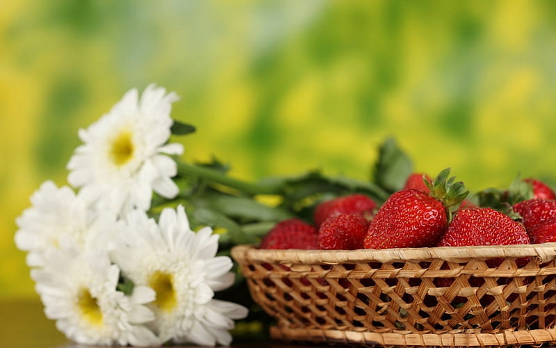 *** Strawberries and daisies ***, truskawki, martwa, margerytki, nature, HD wallpaper