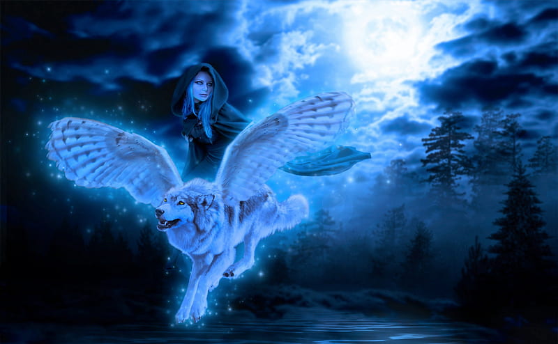 Flight in the Moonlight, fantasy, wolf, lady, blue, HD wallpaper