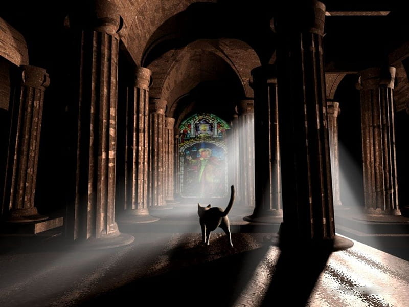 wrong entry, architecture, cat, huge, HD wallpaper