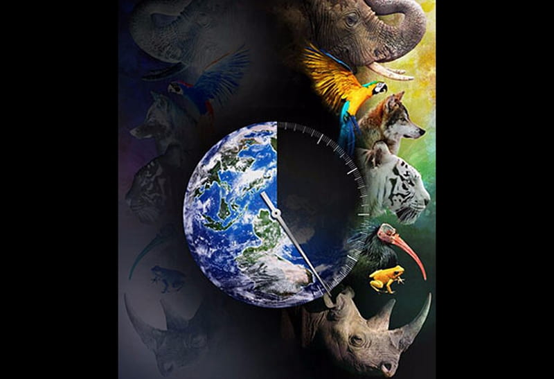 Moooi for Arte Wallpaper Menagerie of Extinct Animals5268