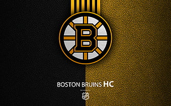 Download “Boston Bruins – the Pride of the Eastern Conference