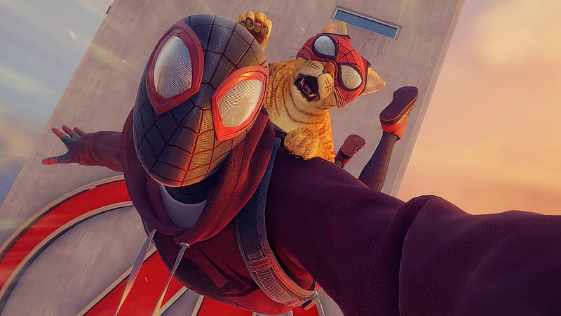 SPIDER CAT, comic, marvel, miles, morales, parker, peter, spiderman, spiderverse, HD wallpaper