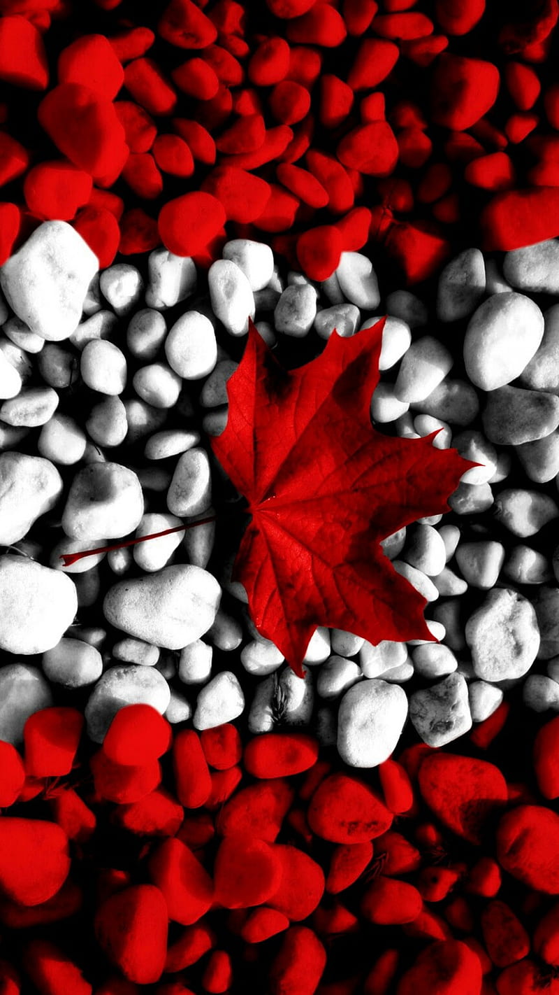 Canada flag, canada, flag, HD phone wallpaper
