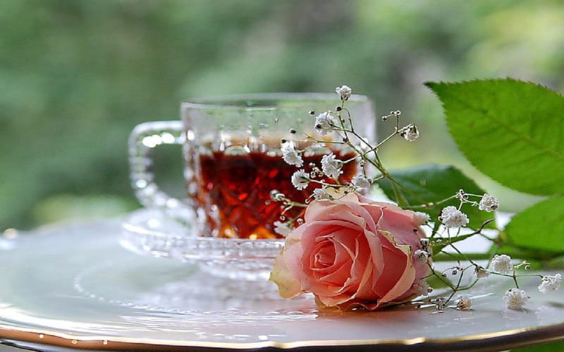 ~Sweet Morning~, romantic, rose, bonito, tea, sweet, still life, pink rose, graphy, coffee, cup, flower, plate, morning, HD wallpaper