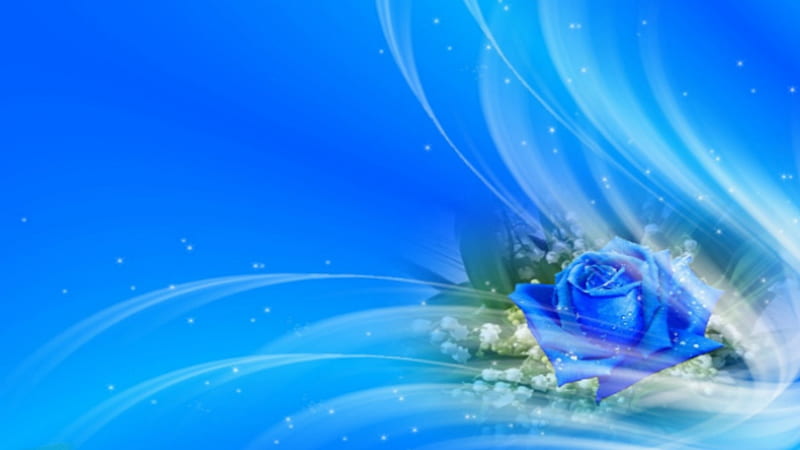 ~*~ Suavity ~*~, romantic, , abstract, delicate, blue rose, HD wallpaper