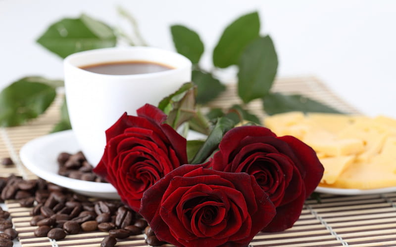  Buenos días, rosas rojas, café, flores, naturaleza, rosas, Fondo de pantalla HD