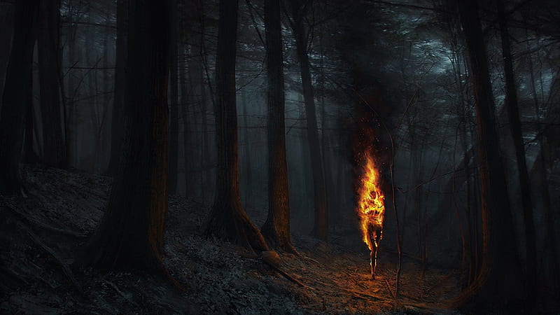 fantasy woman, flames, forest, dark, scary, Fantasy, HD wallpaper