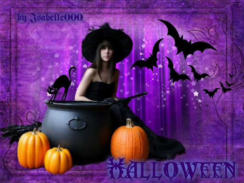 Halloween, bruja, morado, negro, gato, calabazas, Fondo de pantalla HD |  Peakpx
