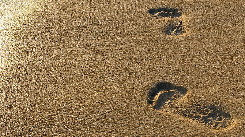 Footsteps on the beach, nature, beaches, people, HD wallpaper