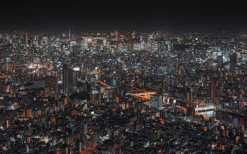 Tokyo, metropolis, night, buildings, night city, modern big city, Tokyo cityscape, japan, HD wallpaper
