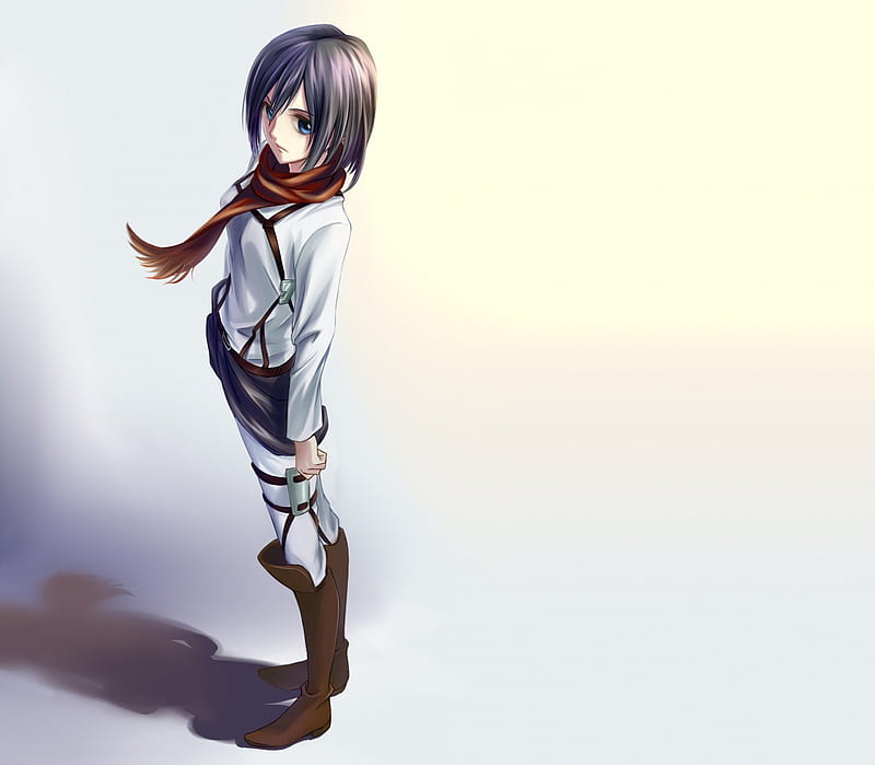 Mikasa Long Hair Wallpapers on WallpaperDog