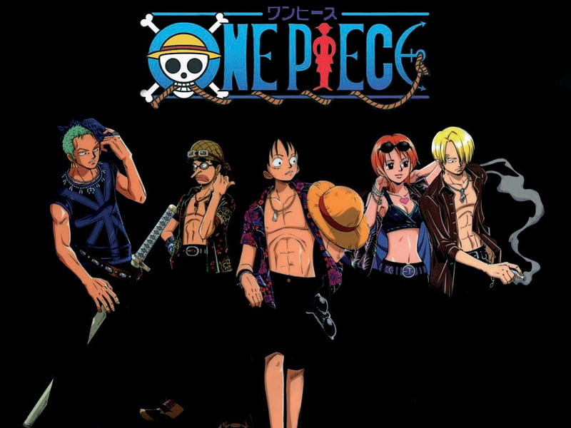 Luffy, Zoro, Lie Busanji, Nami, Chopper, Robin, and Merry HD One