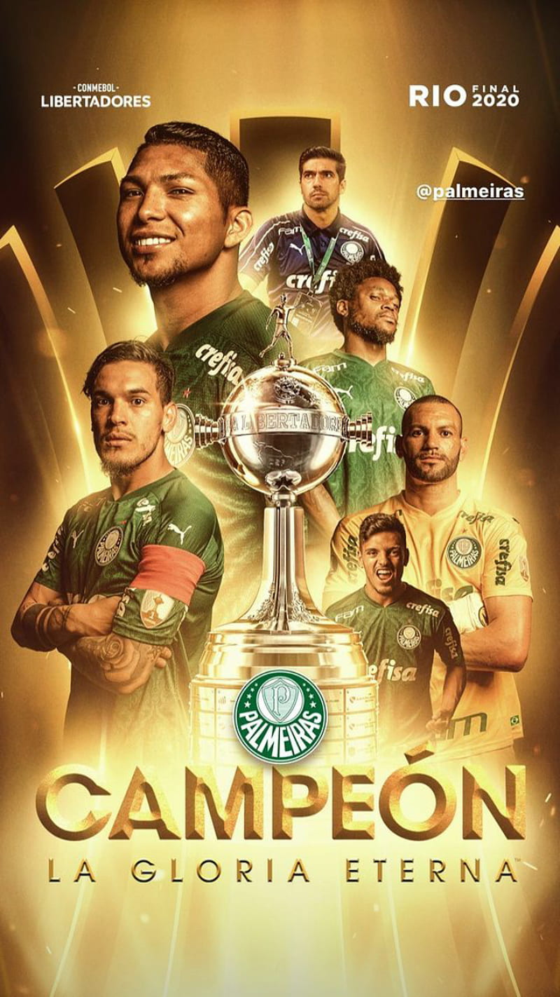 Palmeiras , 2020, brasileirao, champions, conmebol libertadores, rio, HD phone wallpaper