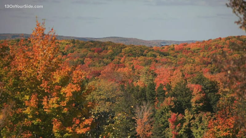Your guide to peak fall colors in Michigan 2022, Michigan Autumn, HD wallpaper