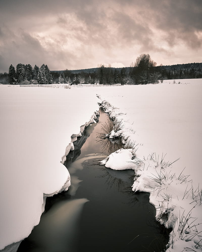 stream, snow, field, trees, winter, nature, HD phone wallpaper