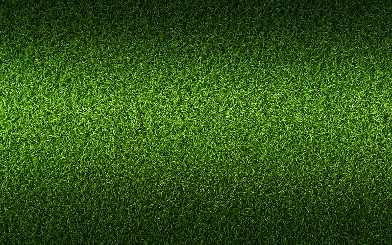 green grass texture, macro, green backgrounds, grass textures, green grass, close-up, grass from top, grass backgrounds, HD wallpaper