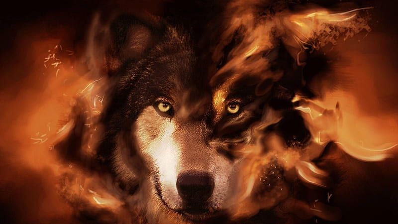 Wolf Drama, lobo, dramatic, loup, fire, flames, wild, hot, wolf, wolves, HD wallpaper