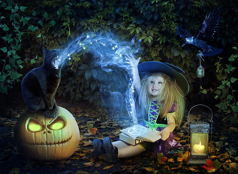 Little Witch, witch, lantern, magic spell, Cat, halloween, pumpkin, book, crow, HD wallpaper