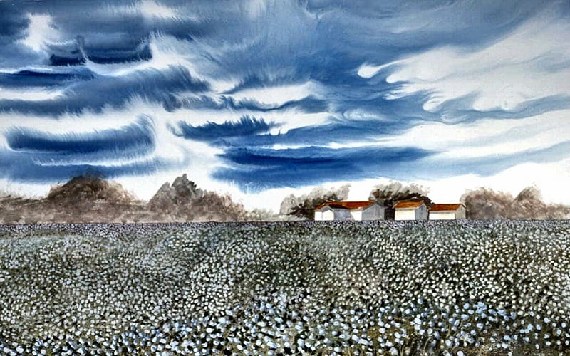 Cotton Field 1, art, cotton field, painting, wide screen, scenery, artwork, cotton, landscape, HD wallpaper