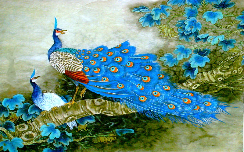 DIVINE BIRDS, peahen, peacock, couple art, blue, feathers, HD wallpaper