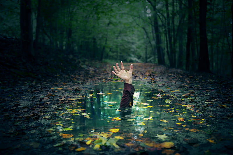Hand in the forest, arm, green, hands, leaf, nature, rain, swamp, trees, water, HD wallpaper