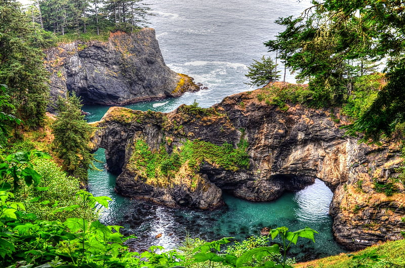 Natural Bridge, Oregon Coast, rocks, water, arch, trees, sea, HD wallpaper