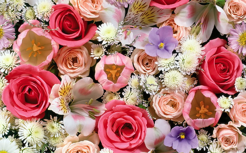 bonito, lilac, alstromeria, spring, roses, bouquet, bunch, flowers, tulips, pink, HD wallpaper