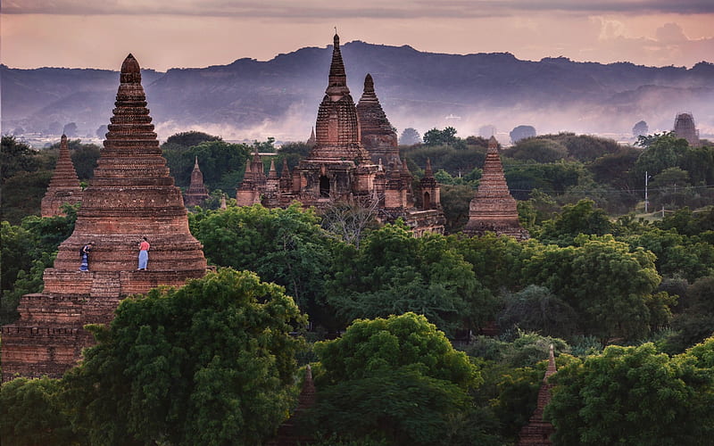 Bagan, Myanmar, temples, jungle, Burma, evening, sunset, HD wallpaper