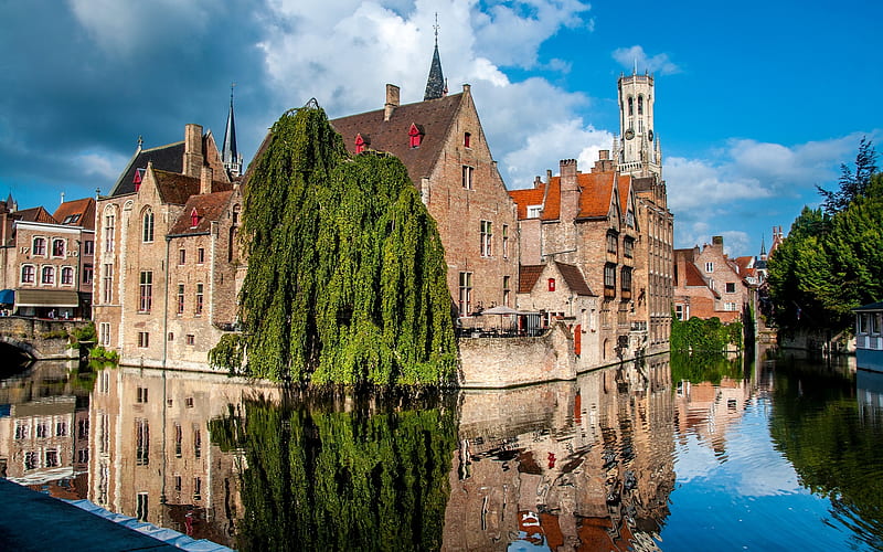 Bruges, Belgium, water, tree, Belgium, houses, Bruges, reflection, HD wallpaper