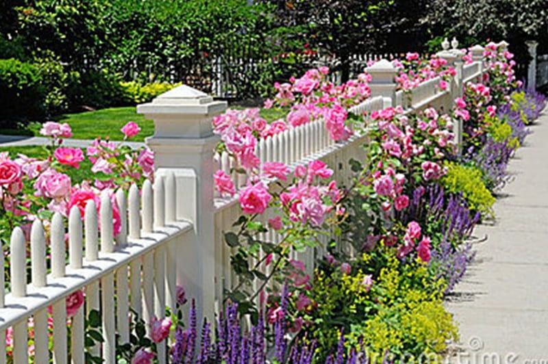 Fence Adorned w/flowers, fence, cute, flowers, white, HD wallpaper