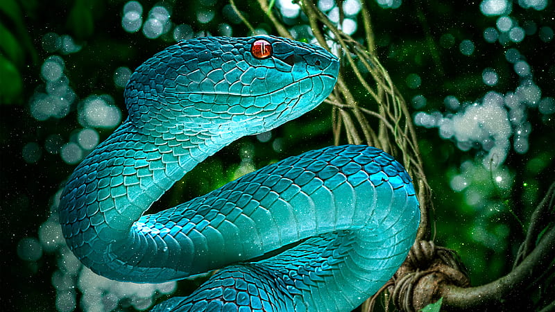 blue snake, red eye, bokeh, Animal, HD wallpaper