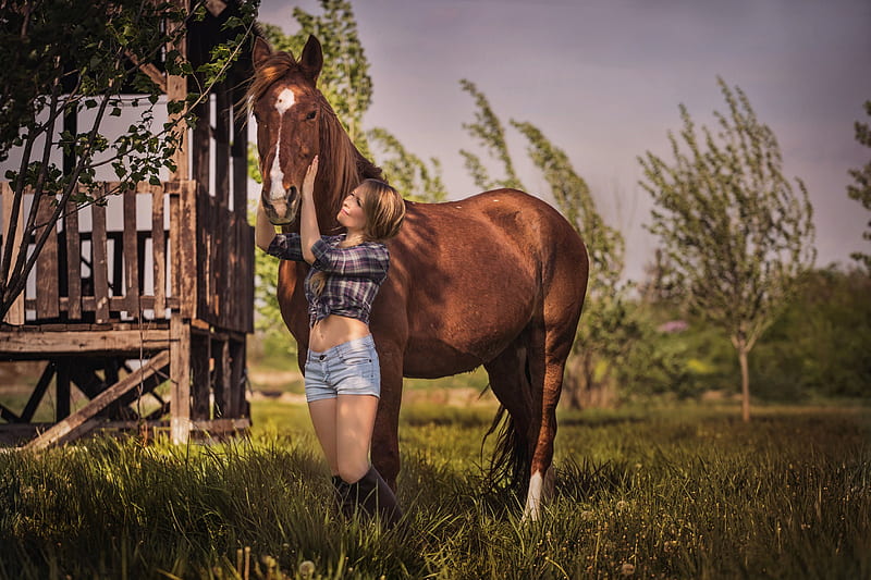 Ahora tiene caballo, caballos, rancho, rubias, vaqueras, botas, Fondo de  pantalla HD | Peakpx