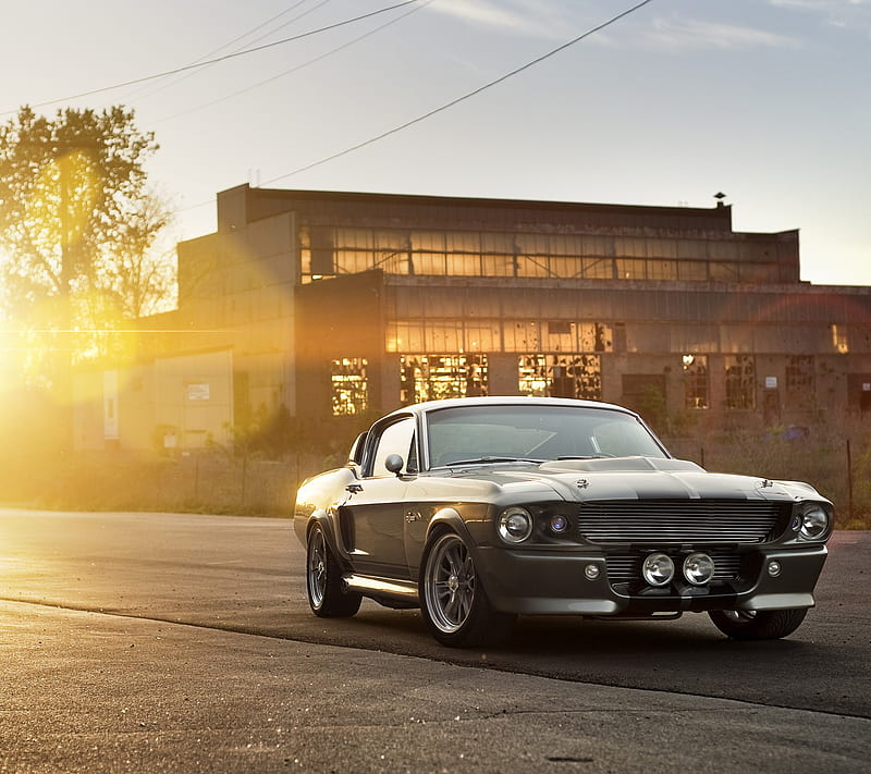 Ford Eleanor, ford mustang, gt500, shelby, HD wallpaper