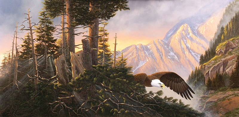 Morning Flight, bald eagle, mountains, painting, eagle, trees, artwork ...