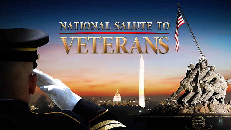 National Salute To Veterans Veterans Day, HD wallpaper