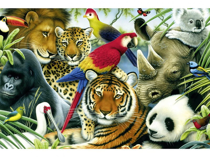 EXOTIC ANIMALS, PANDA, ANIMALS, TIGER, WILD, JUNGLE, HD wallpaper