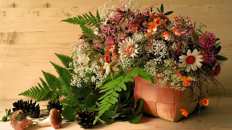 Flowers, Cones, Basket, Mushrooms, HD wallpaper