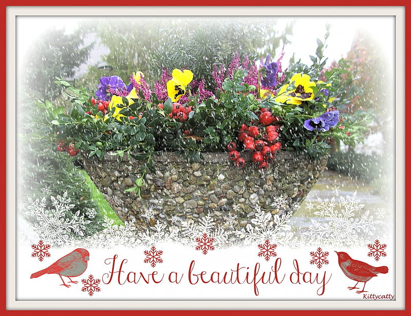 ~✿~ Beautiful Winter Day ~✿~ , birds, rosehips, collage, abstract, winter, snow, snowflakes, pansies, flowers, garden, HD wallpaper