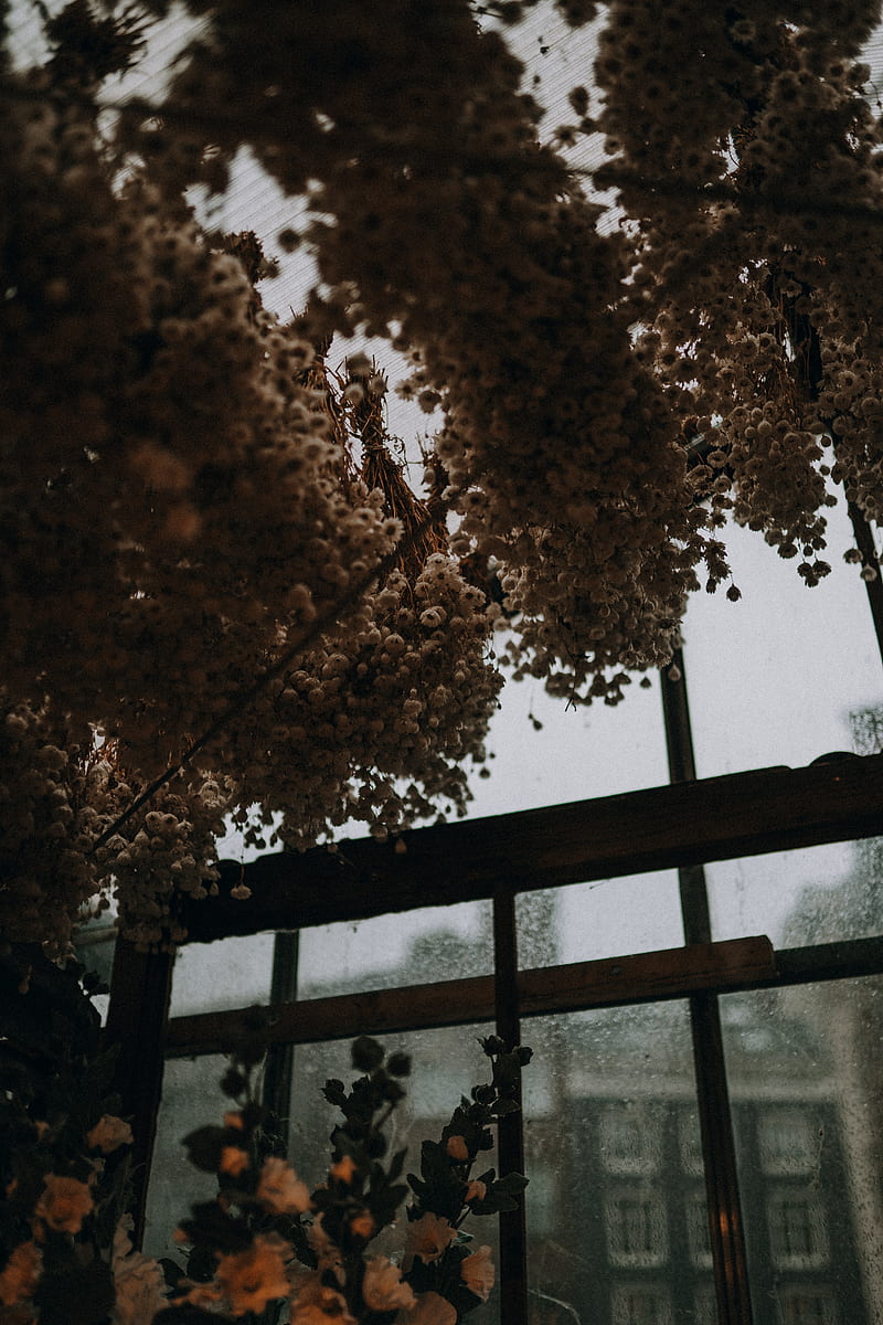 brown leaves on black metal bar, HD phone wallpaper