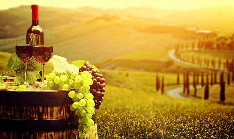 Tuscan Fruits, grapes, tun, wine, fields, road, trees, landscape, italy, HD  wallpaper | Peakpx