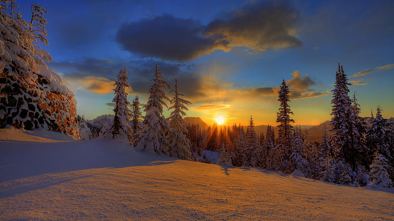Deep and Crisp and Even, glow, sun, sunset, trees, sky, clouds, snow, shadows, blue, HD wallpaper