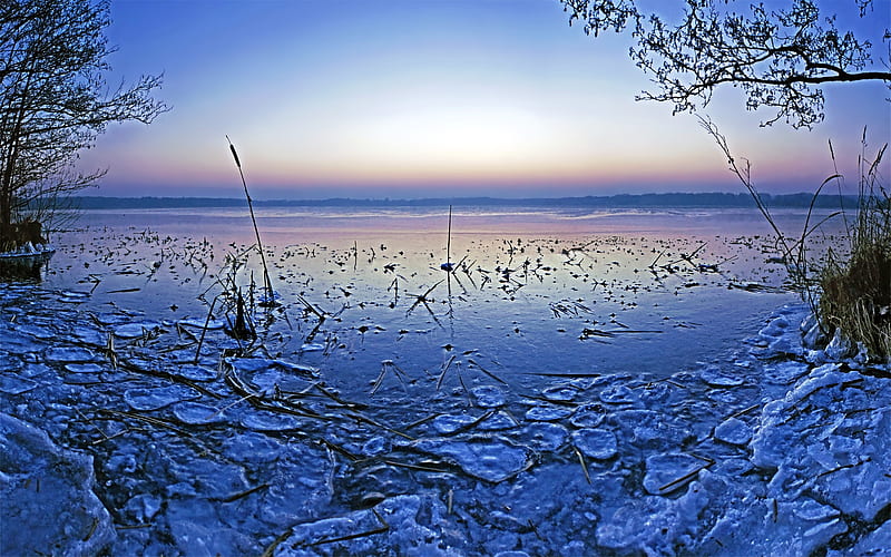 Ice Margin, afternoon, nice, bright, waterscape, dawn, brightness, winter, purple, violet, white, bonito, seasons, cold, frosty, leaves, scenery, blue, horizon, frigid, lakes, gelid, icy, day, nature, branches, ice-cold, scene, margin, iced, clouds, cenario, lightness, calm, scenario, beauty, evening, morning, rivers, cena, trees, lagoons, sky, panorama, water, cool, awesome, ice, hop, landscape, laguna, trunks, graphy, pink, light, tranquility, amazing, view, leaf, serene, plants, frozen, natural, HD wallpaper