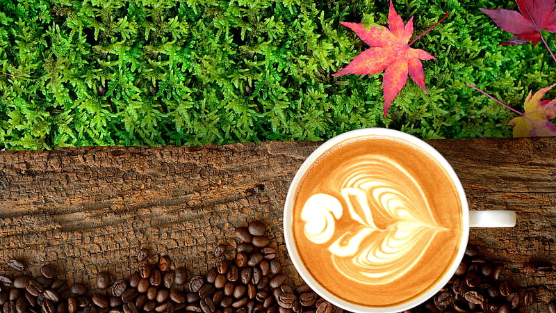 Cappuccino Coffee Food, HD wallpaper
