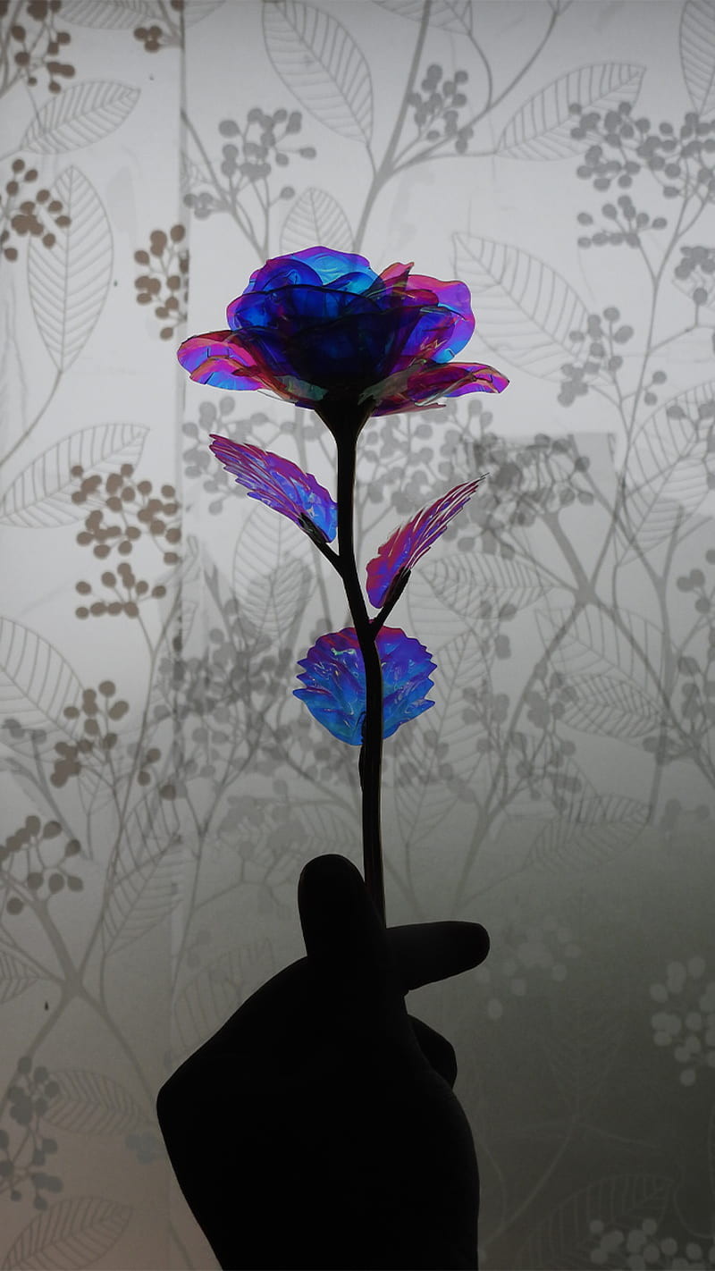 Shadow, flores, blue, color, purple, korean, sombra, azul, morado, flower,  HD phone wallpaper | Peakpx