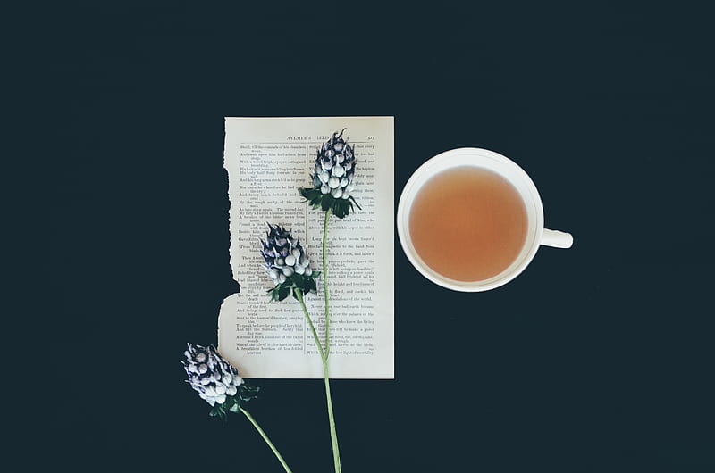 4K free download | white ceramic tea cup beside white flowers, HD