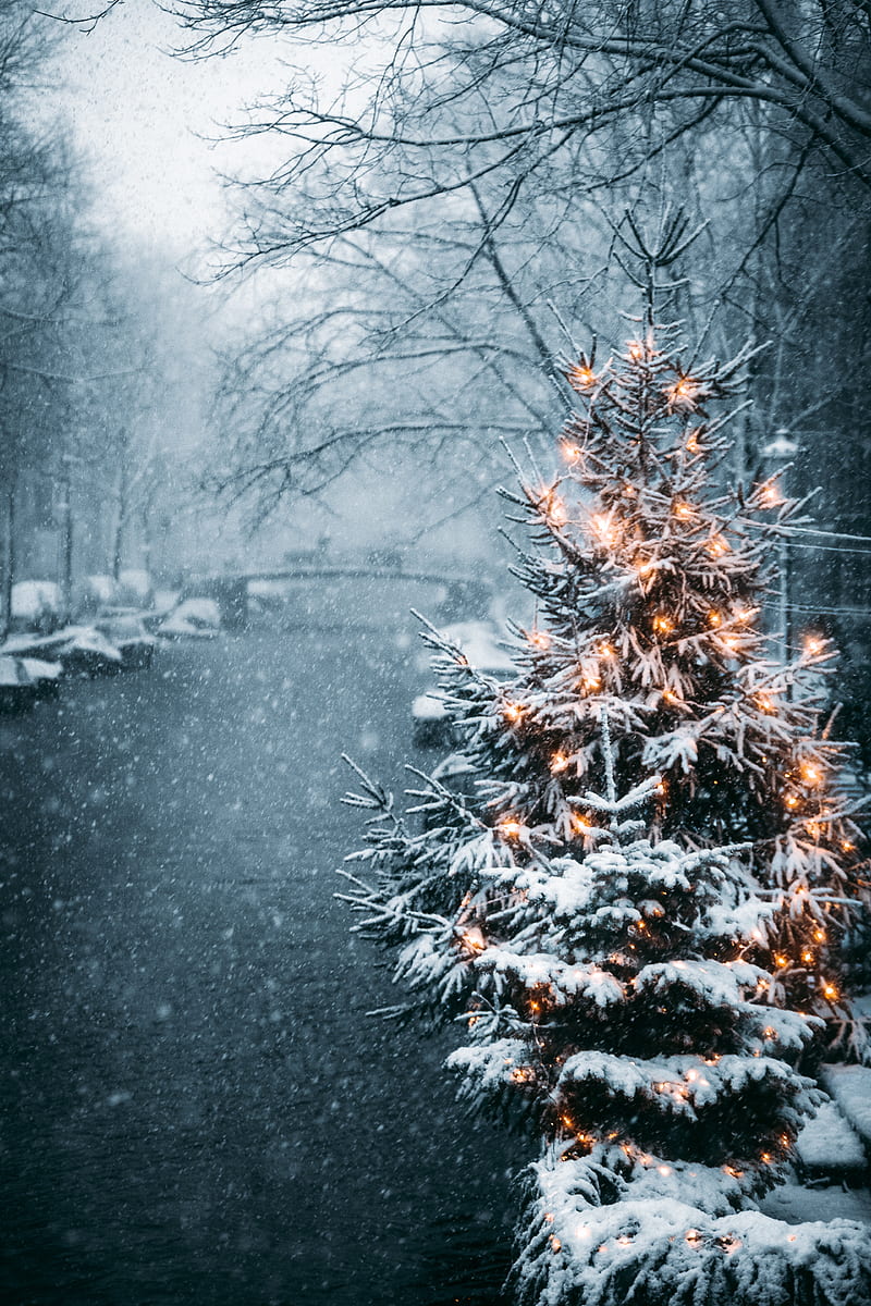 tree, garland, snow, winter, new year, HD phone wallpaper
