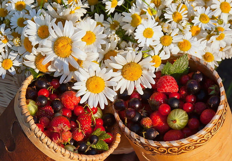 Berries and daisies, baskets, raspberriers, lovely, fruits, bonito, blueberries, daisies, yummy, berries, plenty, summer, flowers, strawberries, garden, HD wallpaper